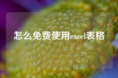 怎么免费使用excel表格