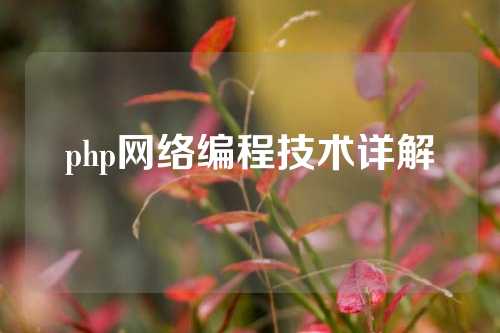 php网络编程技术详解