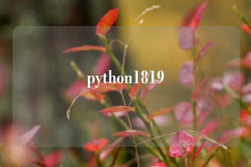 python1819