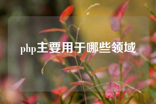 php主要用于哪些领域