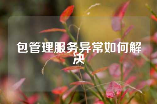 包管理服务异常如何解决