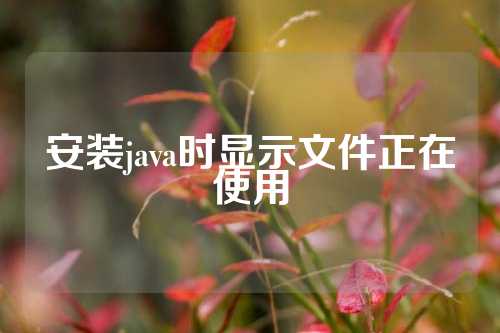 安装java时显示文件正在使用