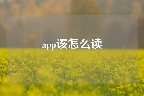 app该怎么读