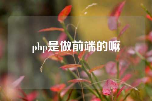 php是做前端的嘛