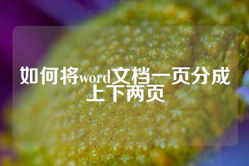 如何将word文档一页分成上下两页