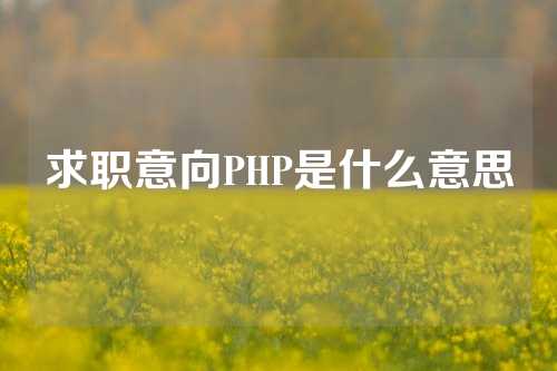 求职意向PHP是什么意思