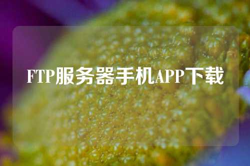 FTP服务器手机APP下载