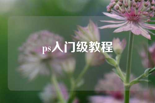 ps入门级教程