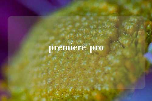 premiere pro