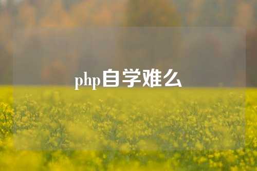 php自学难么