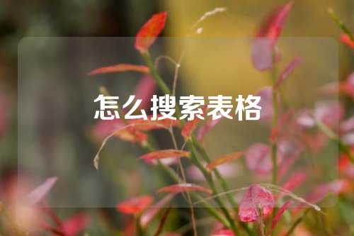 怎么搜索表格