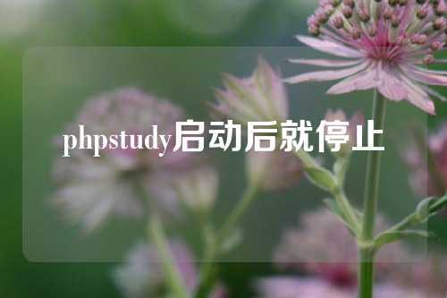 phpstudy启动后就停止