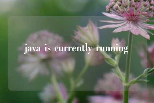 java is currently running