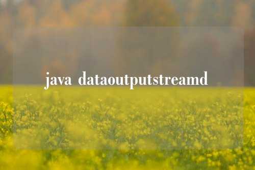 java dataoutputstreamd