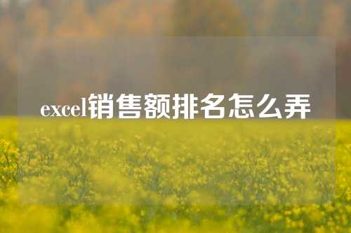 excel销售额排名怎么弄