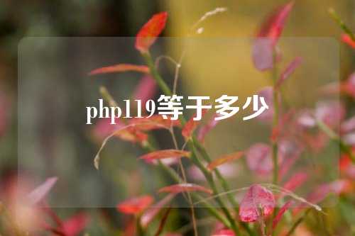 php119等于多少