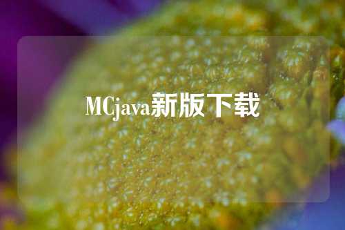 MCjava新版下载