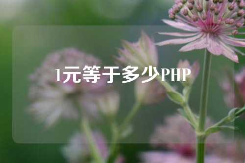 1元等于多少PHP