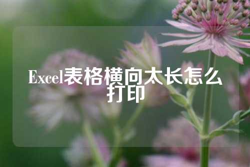 Excel表格横向太长怎么打印