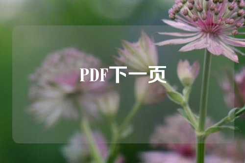 PDF下一页