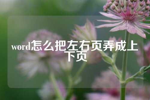 word怎么把左右页弄成上下页