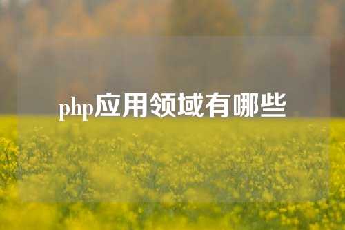 php应用领域有哪些