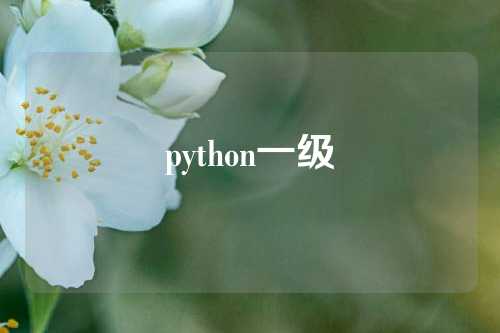 python一级