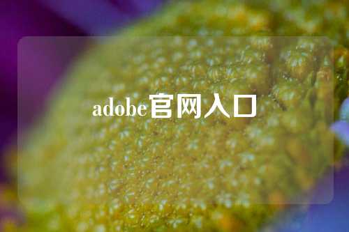 adobe官网入口