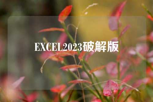 EXCEL2023破解版