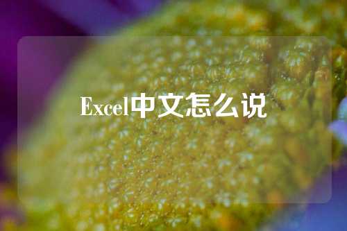 Excel中文怎么说