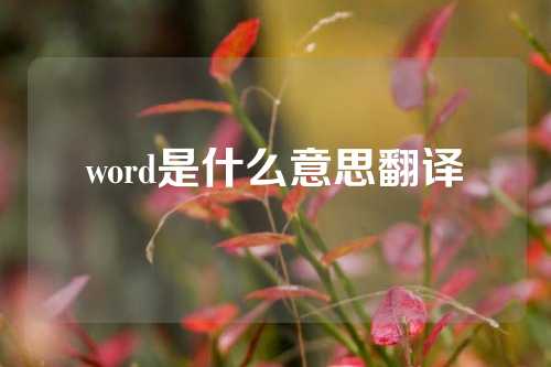 word是什么意思翻译