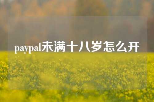 paypal未满十八岁怎么开