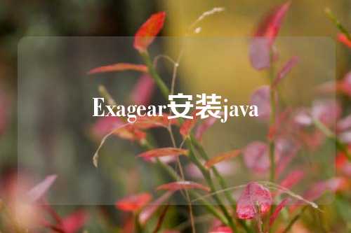 Exagear安装java