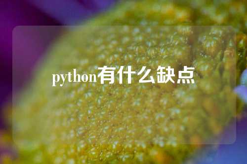 python有什么缺点