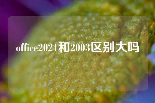 office2021和2003区别大吗