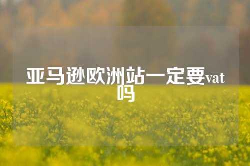 亚马逊欧洲站一定要vat吗