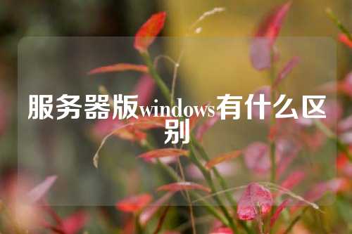 服务器版windows有什么区别