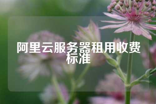 阿里云服务器租用收费标准