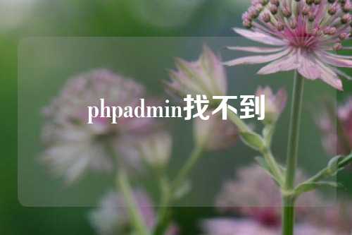 phpadmin找不到