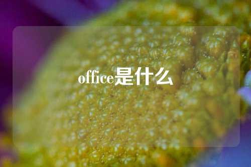 office是什么