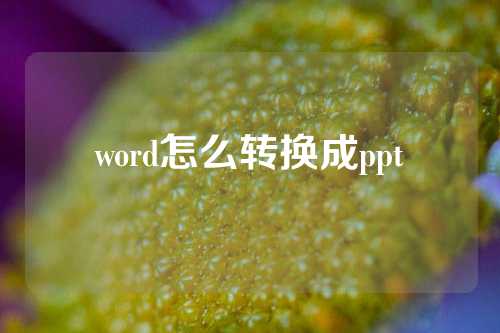 word怎么转换成ppt