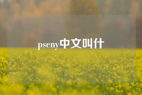 pseny中文叫什