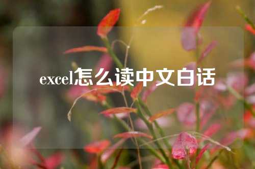 excel怎么读中文白话