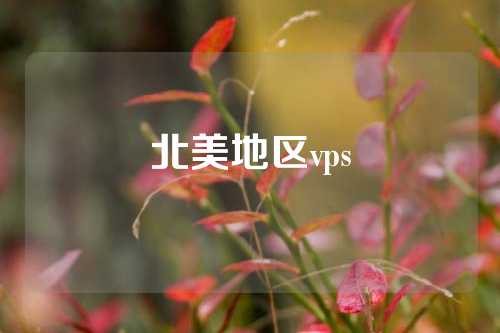 北美地区vps