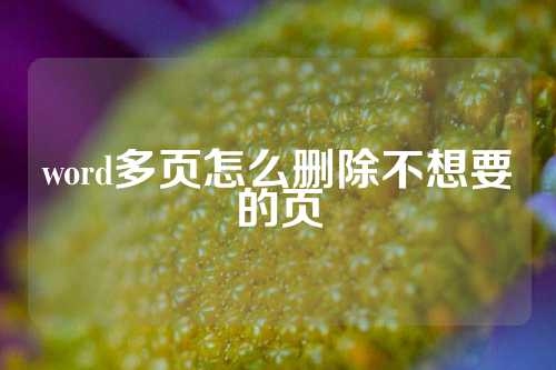 word多页怎么删除不想要的页