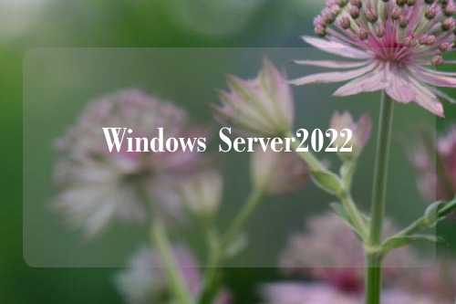 Windows Server2022