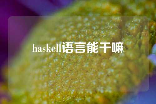 haskell语言能干嘛