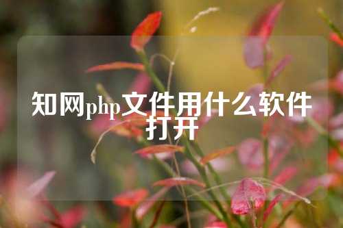 知网php文件用什么软件打开