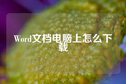 Word文档电脑上怎么下载