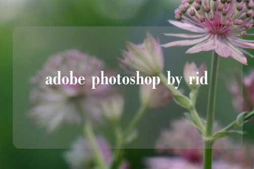 adobe photoshop by rid